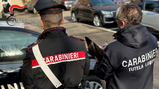 Gioco d’azzardo e sicurezza sul lavoro: 3 denunce e sanzioni per 35mila euro